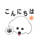 しろいわんこ 其の2（個別スタンプ：1）