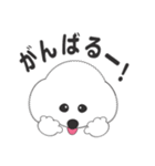 しろいわんこ 其の2（個別スタンプ：4）