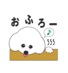 しろいわんこ 其の2（個別スタンプ：5）