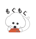 しろいわんこ 其の2（個別スタンプ：6）