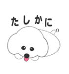 しろいわんこ 其の2（個別スタンプ：7）