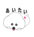 しろいわんこ 其の2（個別スタンプ：8）