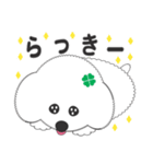 しろいわんこ 其の2（個別スタンプ：9）