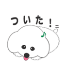 しろいわんこ 其の2（個別スタンプ：11）