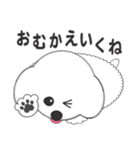 しろいわんこ 其の2（個別スタンプ：12）
