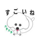 しろいわんこ 其の2（個別スタンプ：17）