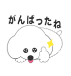 しろいわんこ 其の2（個別スタンプ：24）