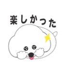 しろいわんこ 其の2（個別スタンプ：27）