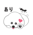 しろいわんこ 其の2（個別スタンプ：30）
