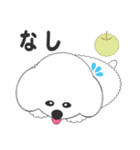 しろいわんこ 其の2（個別スタンプ：31）