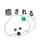 しろいわんこ 其の2（個別スタンプ：37）