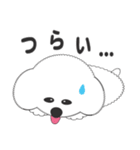 しろいわんこ 其の2（個別スタンプ：38）