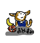ばすけうさぎの日常会話（個別スタンプ：8）