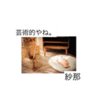 紗那スタンプ1（個別スタンプ：24）