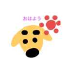 きんちゃんお顔スタンプ（個別スタンプ：1）