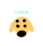 きんちゃんお顔スタンプ（個別スタンプ：22）