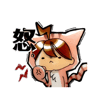 ねこにん。便利スタンプ（個別スタンプ：16）