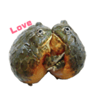 アフリカウシガエル(アフウシ)（個別スタンプ：2）