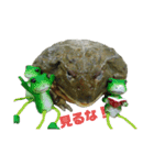 アフリカウシガエル(アフウシ)（個別スタンプ：9）