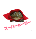 アフリカウシガエル(アフウシ)（個別スタンプ：12）