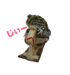 アフリカウシガエル(アフウシ)（個別スタンプ：23）