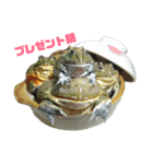 アフリカウシガエル(アフウシ)（個別スタンプ：31）