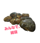 アフリカウシガエル(アフウシ)（個別スタンプ：32）