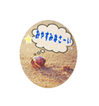 うみやま～その1生物達（個別スタンプ：8）