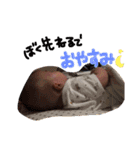 せなのほのぼのライフ（個別スタンプ：6）