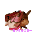 うさぎの所沢君その1（個別スタンプ：2）