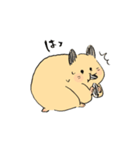 もちもちハムちゃん 日常（個別スタンプ：21）