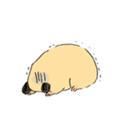 もちもちハムちゃん 日常（個別スタンプ：25）