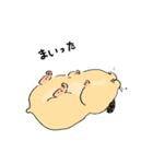 もちもちハムちゃん 日常（個別スタンプ：27）