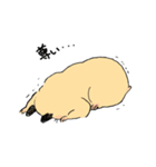 もちもちハムちゃん 日常（個別スタンプ：33）