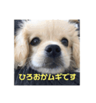 ひろおかムギ（個別スタンプ：1）