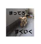 ひろおかムギ（個別スタンプ：4）