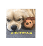 ひろおかムギ（個別スタンプ：12）