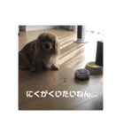 ひろおかムギ（個別スタンプ：14）