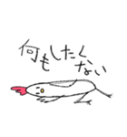 すこぶる適当な鳥（個別スタンプ：5）