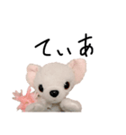 くんくんとティラミス（個別スタンプ：4）
