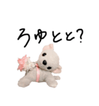くんくんとティラミス（個別スタンプ：10）