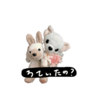 くんくんとティラミス（個別スタンプ：21）