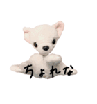 くんくんとティラミス（個別スタンプ：28）