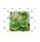 Aube3（個別スタンプ：2）