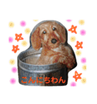 むうたん（個別スタンプ：2）