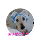 むうたん（個別スタンプ：3）
