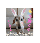 むうたん（個別スタンプ：8）
