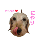 むうたん（個別スタンプ：32）