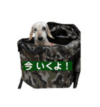 むうたん（個別スタンプ：36）