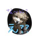 といぷちゃん（個別スタンプ：5）